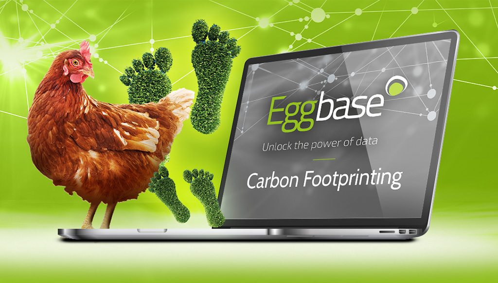 Eggbase carbon footprint tool