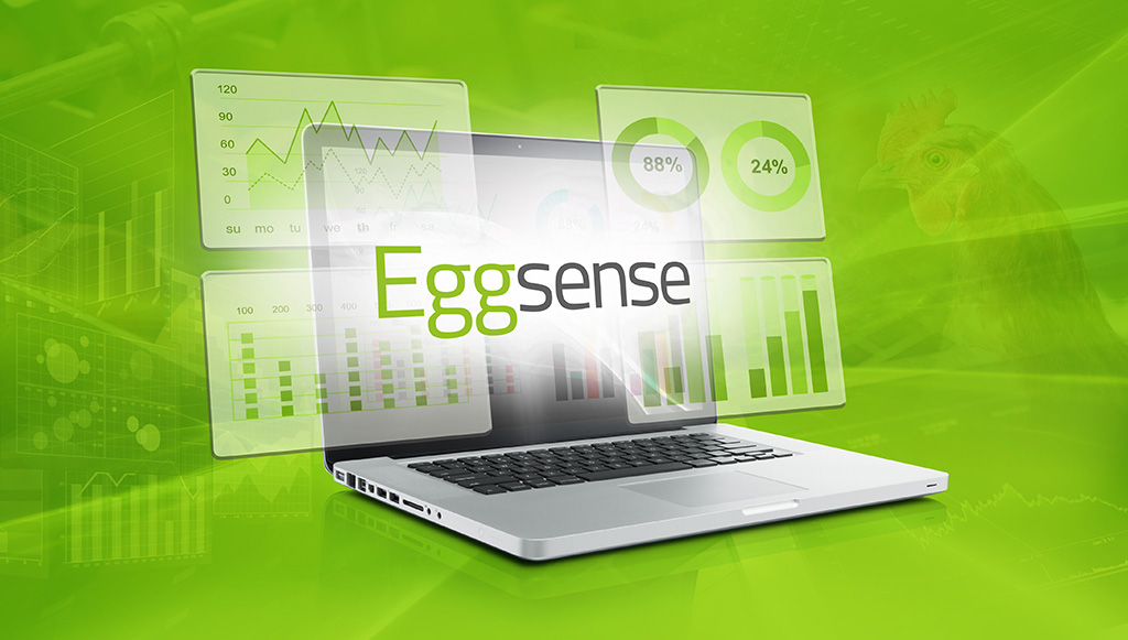 Discover the New and Improved Eggsense Analytics Dashboard