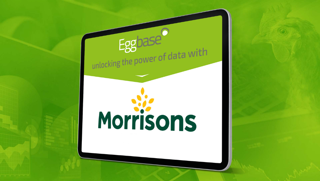 Eggbase In Partnership with Morrisons