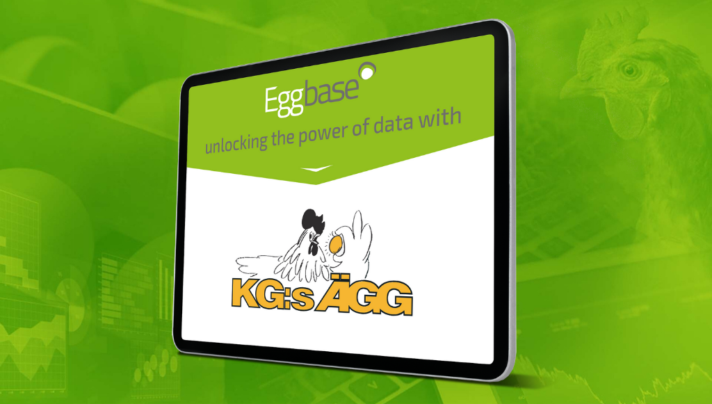 Eggbase is Active in Scandinavia with KG:S Agg