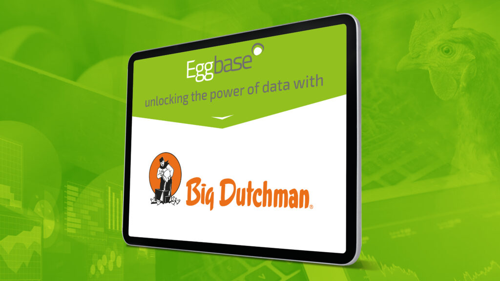 Eggbase BigDutchman