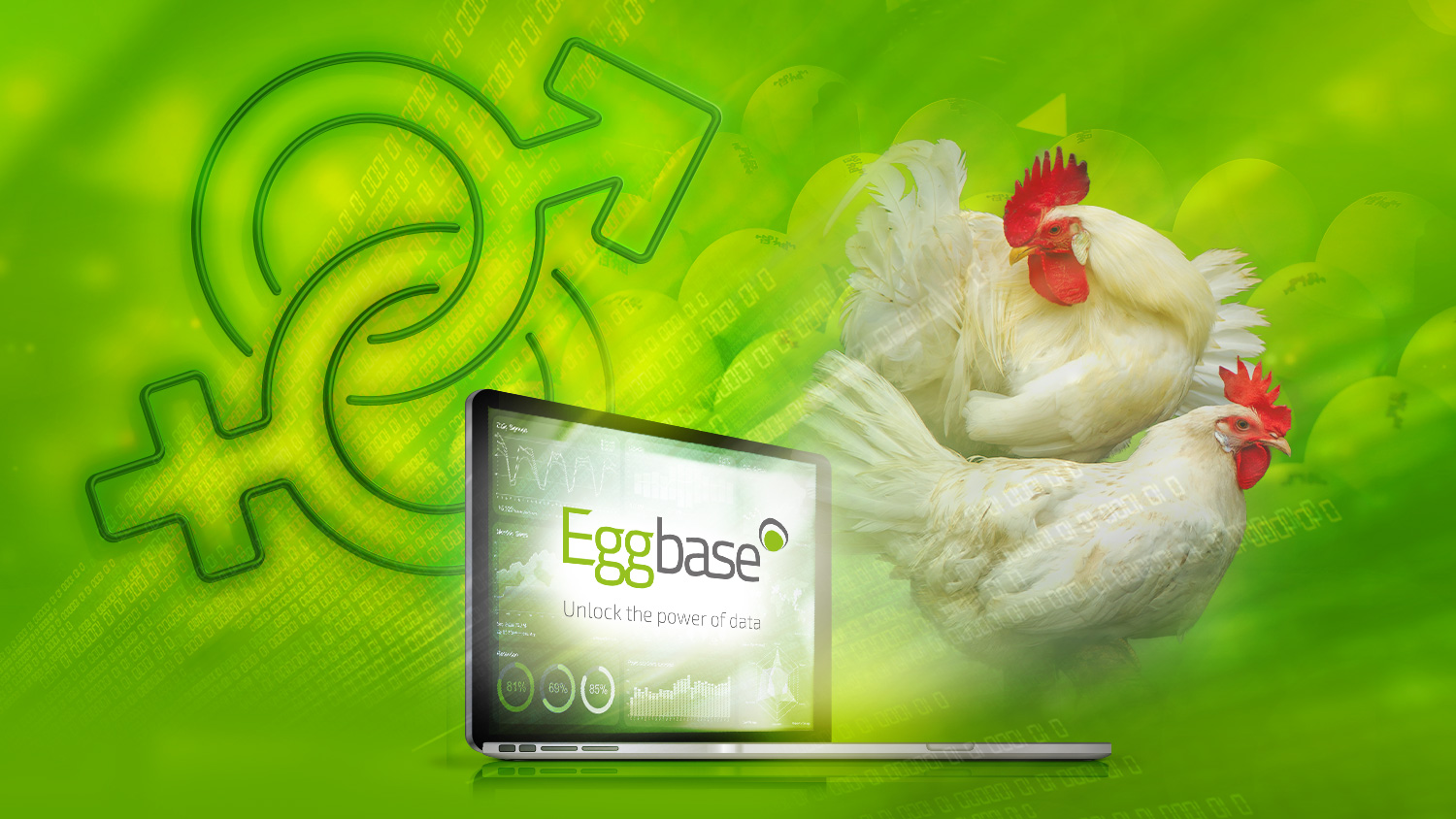 Eggbase Launch Software for Fertile Eggs