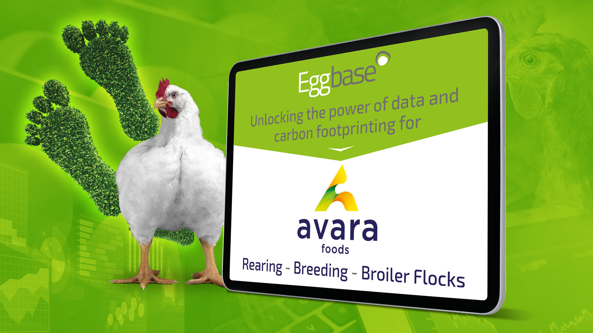 Unlocking the power of data and carbon footprinting for Avara Foods