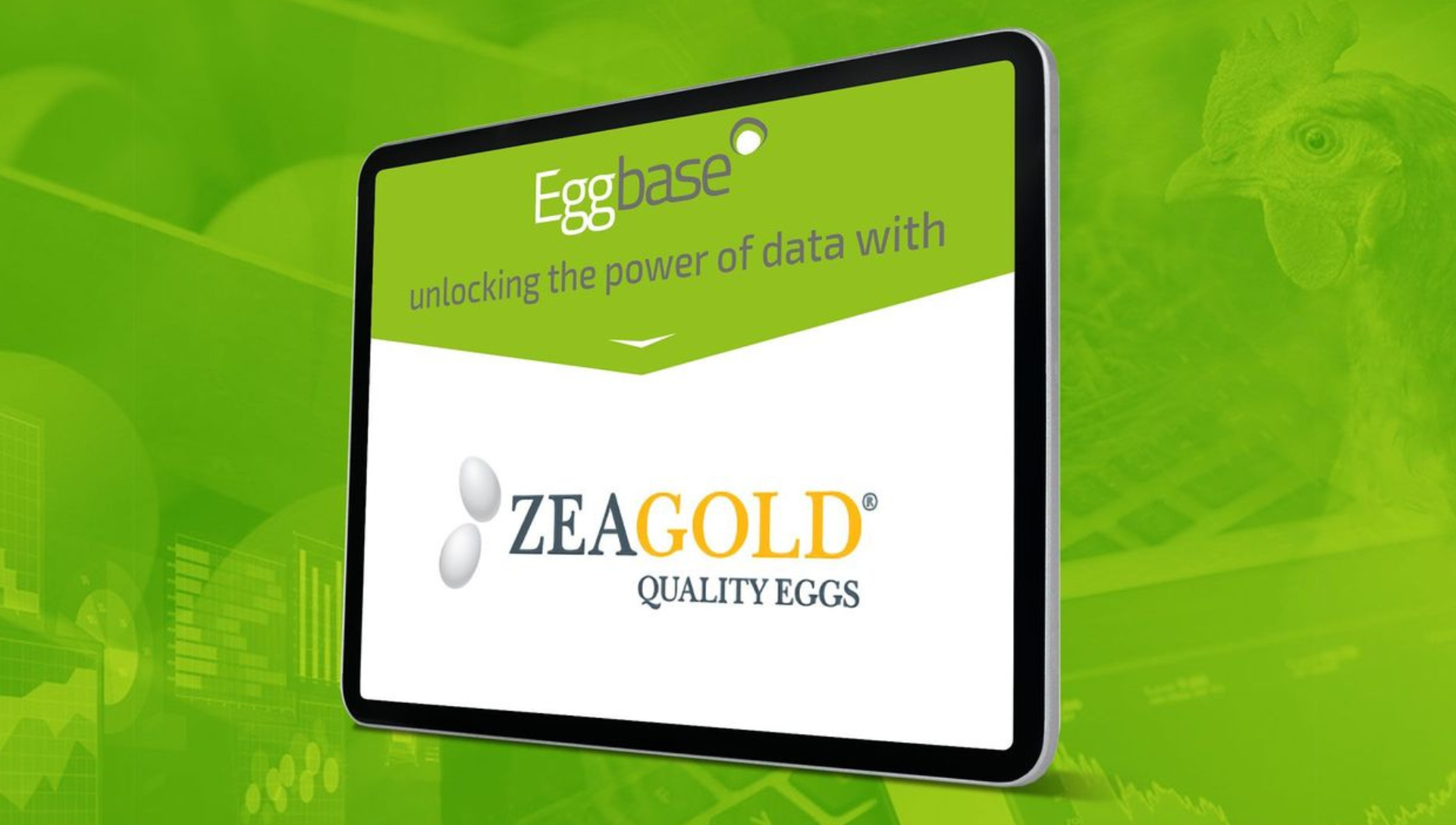 A New Antipodean Partner For Eggbase – Zeagold Quality Eggs