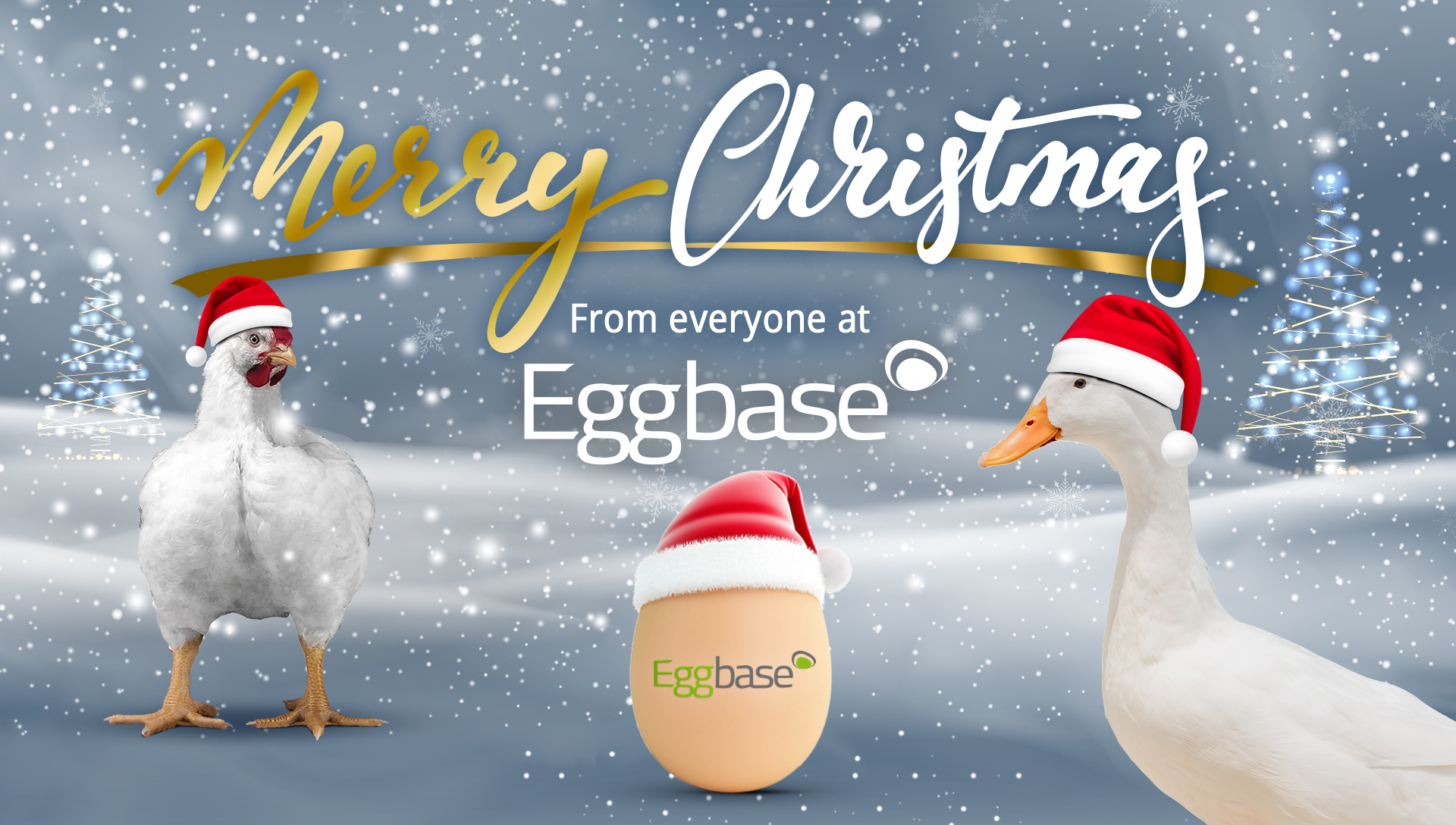 Merry Christmas and Happy New Year from Eggbase