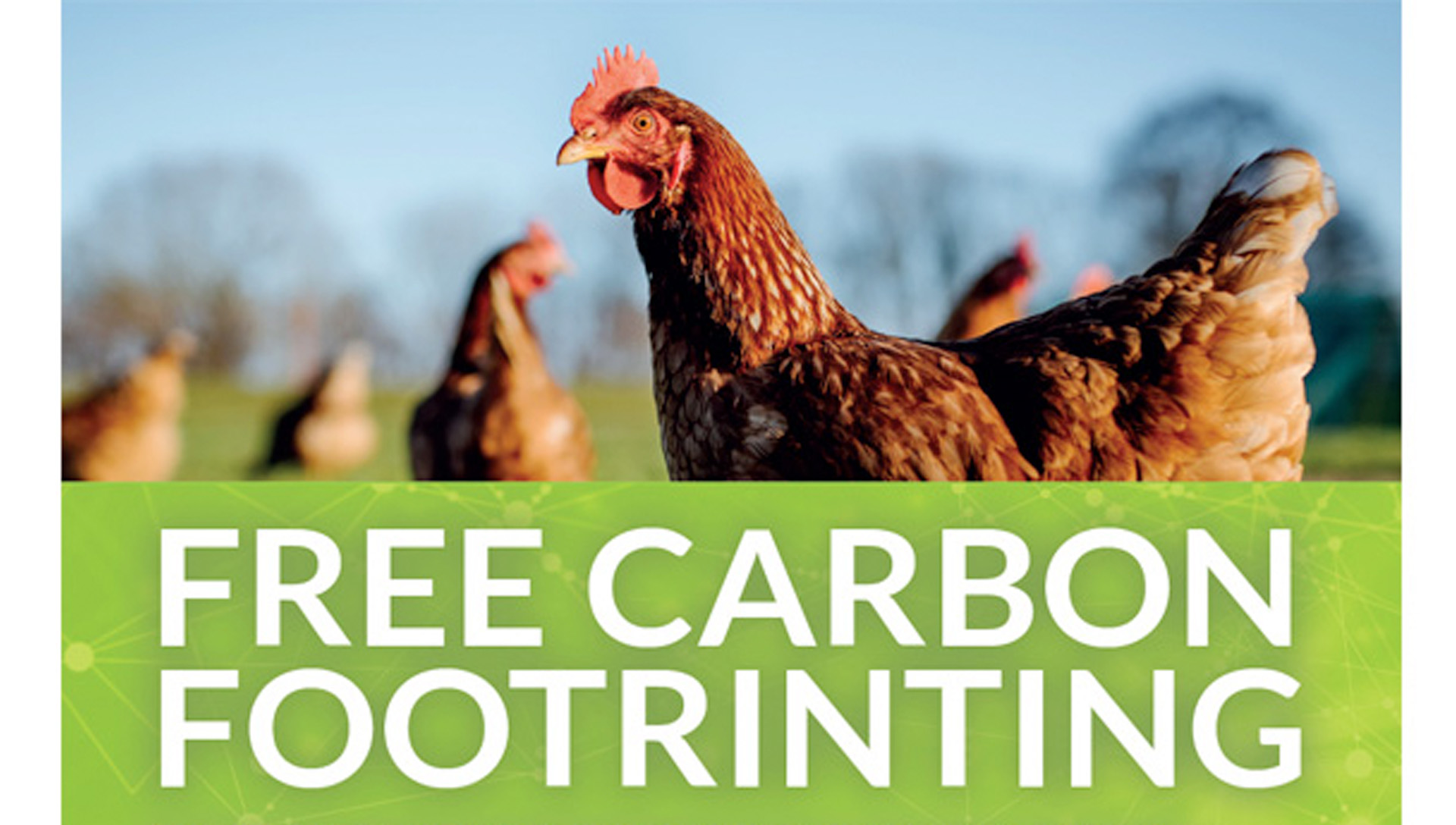 FREE EGGBASE CARBON FOOTRINTING IN PARTNERSHIP WITH PROMAR