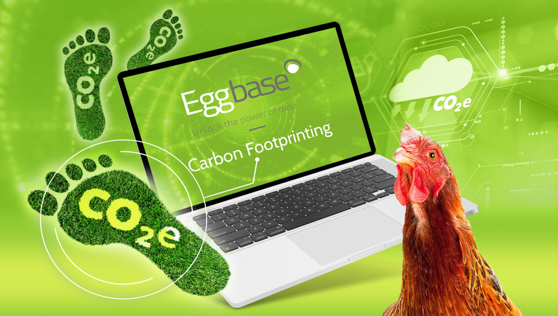 EGGBASE PRAISED IN THE RANGER ARTICLE COMPARING CARBON FOOTPRINTING TOOLS!