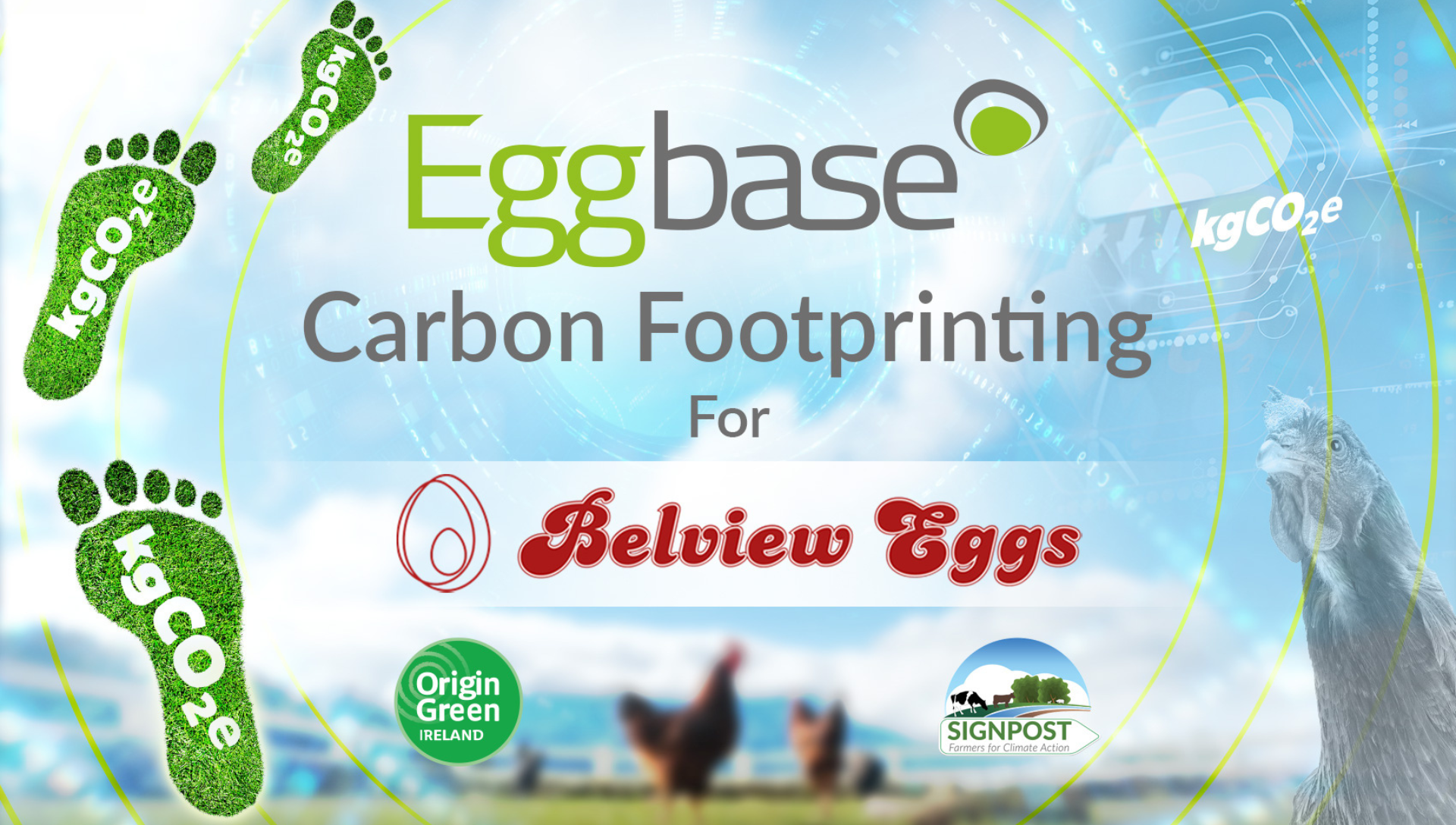 Eggbase Are Proud To Be Working With Belview Eggs!