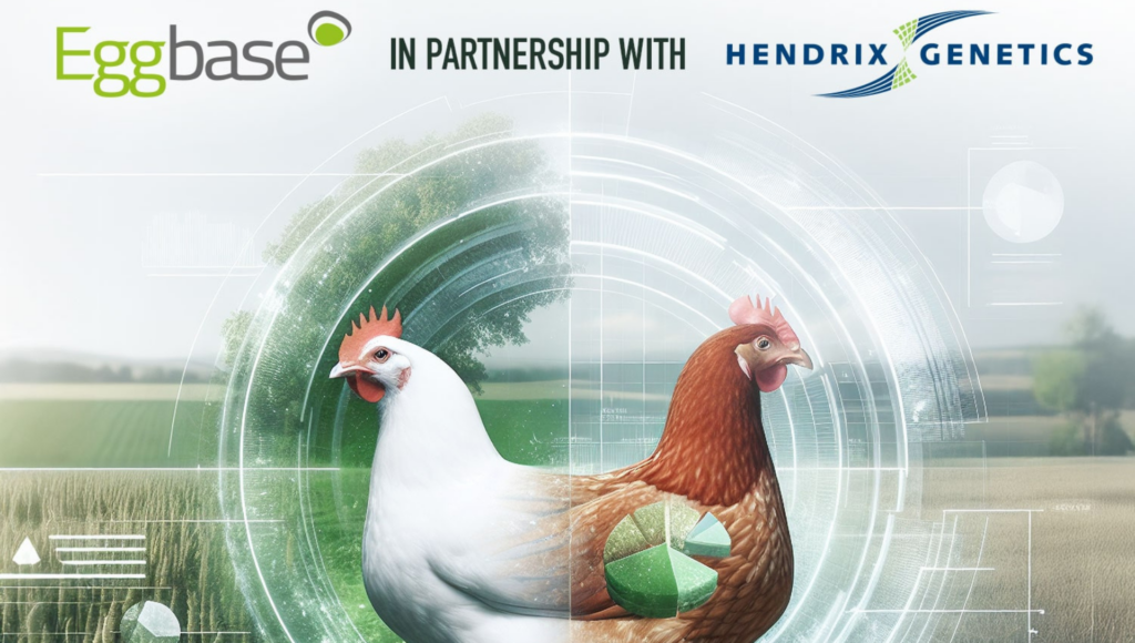 Eggbase in partnership with Hendrix Genetics