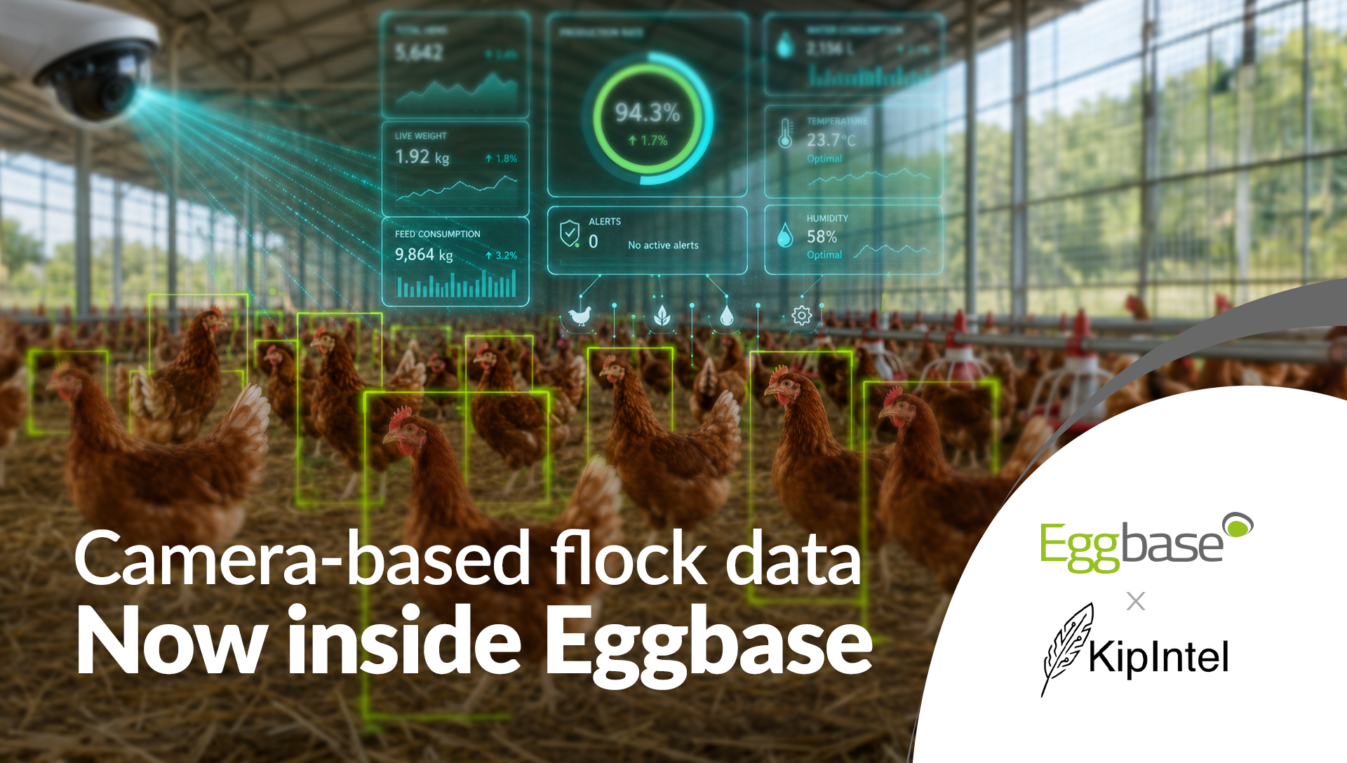 A clearer picture of your flocks—exactly where you need it!
