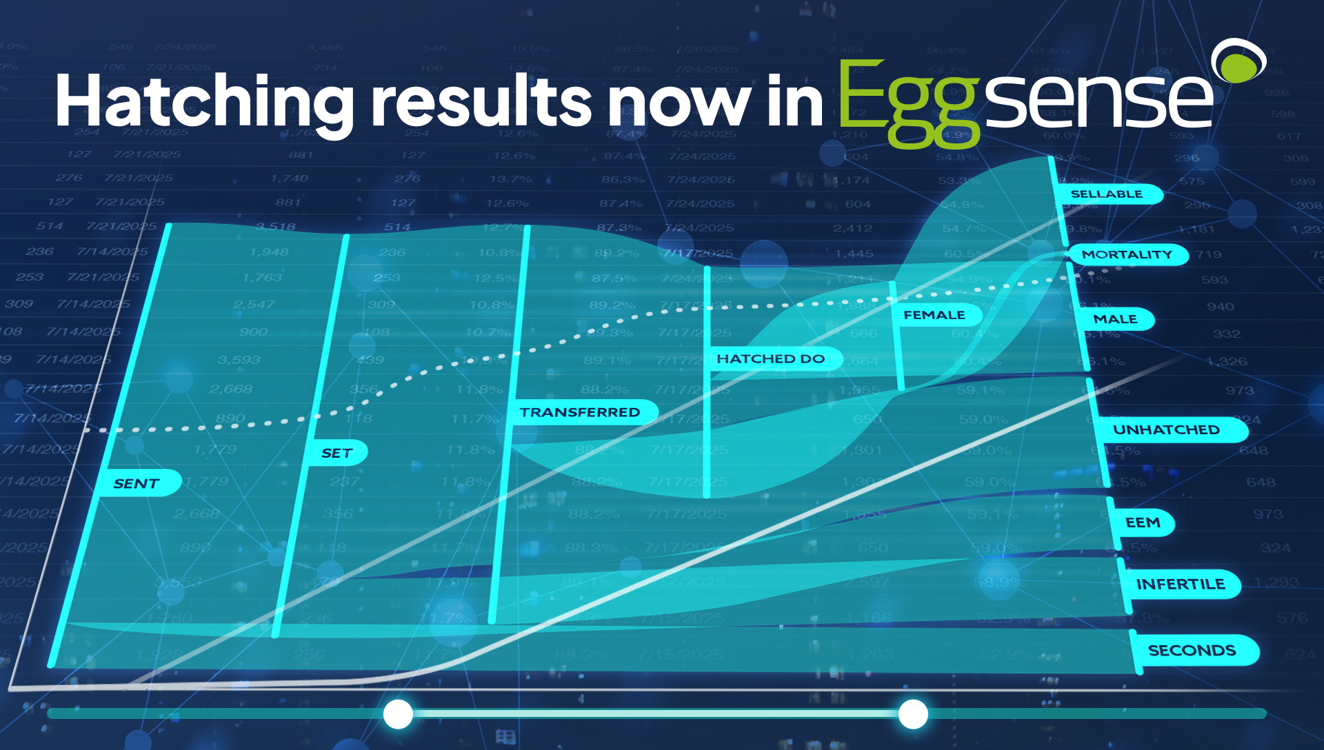 Connecting breeder performance with hatchery performance