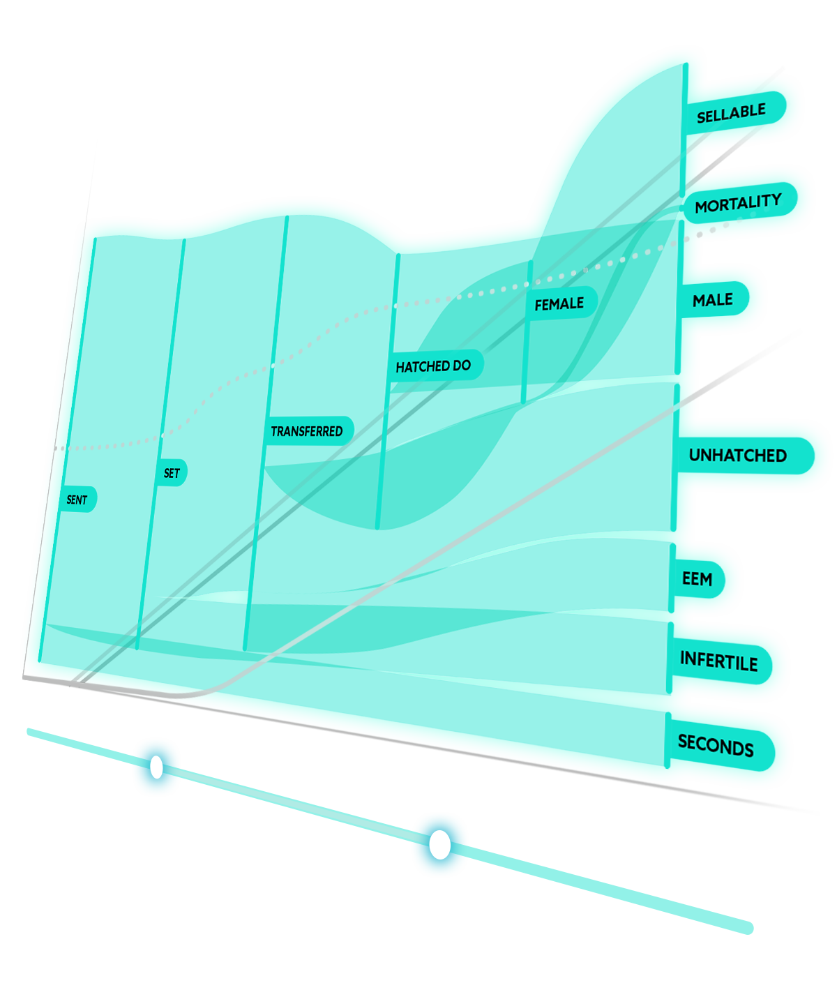 EGGBASE Sankey Diagram